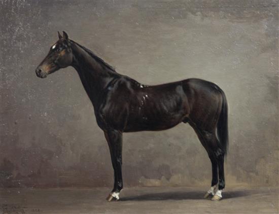 Ivan Prianishnikov (Russian, 1841-1910) Standing bay horse 10.25 x 14in.
